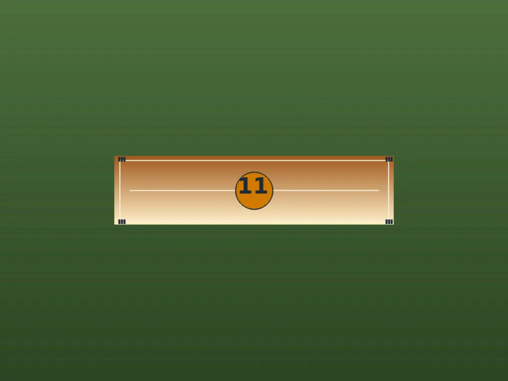 Top-down cricket pitch — the neutral route-specific visual for the operator disclosure brief